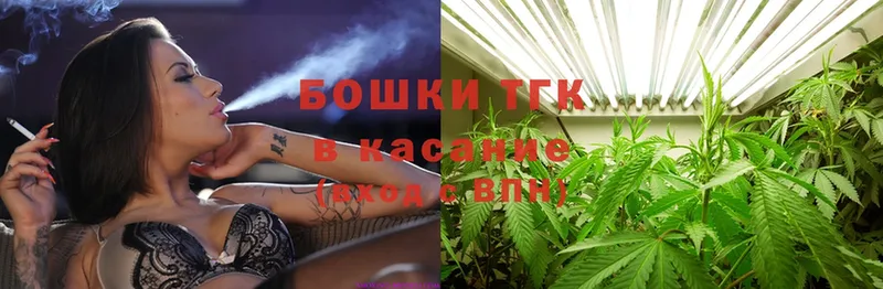 Бошки Шишки SATIVA & INDICA  закладки  мега ссылки  Заозёрный 